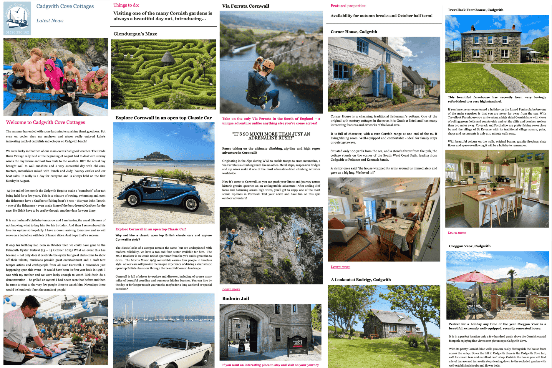 Client Newsletters design