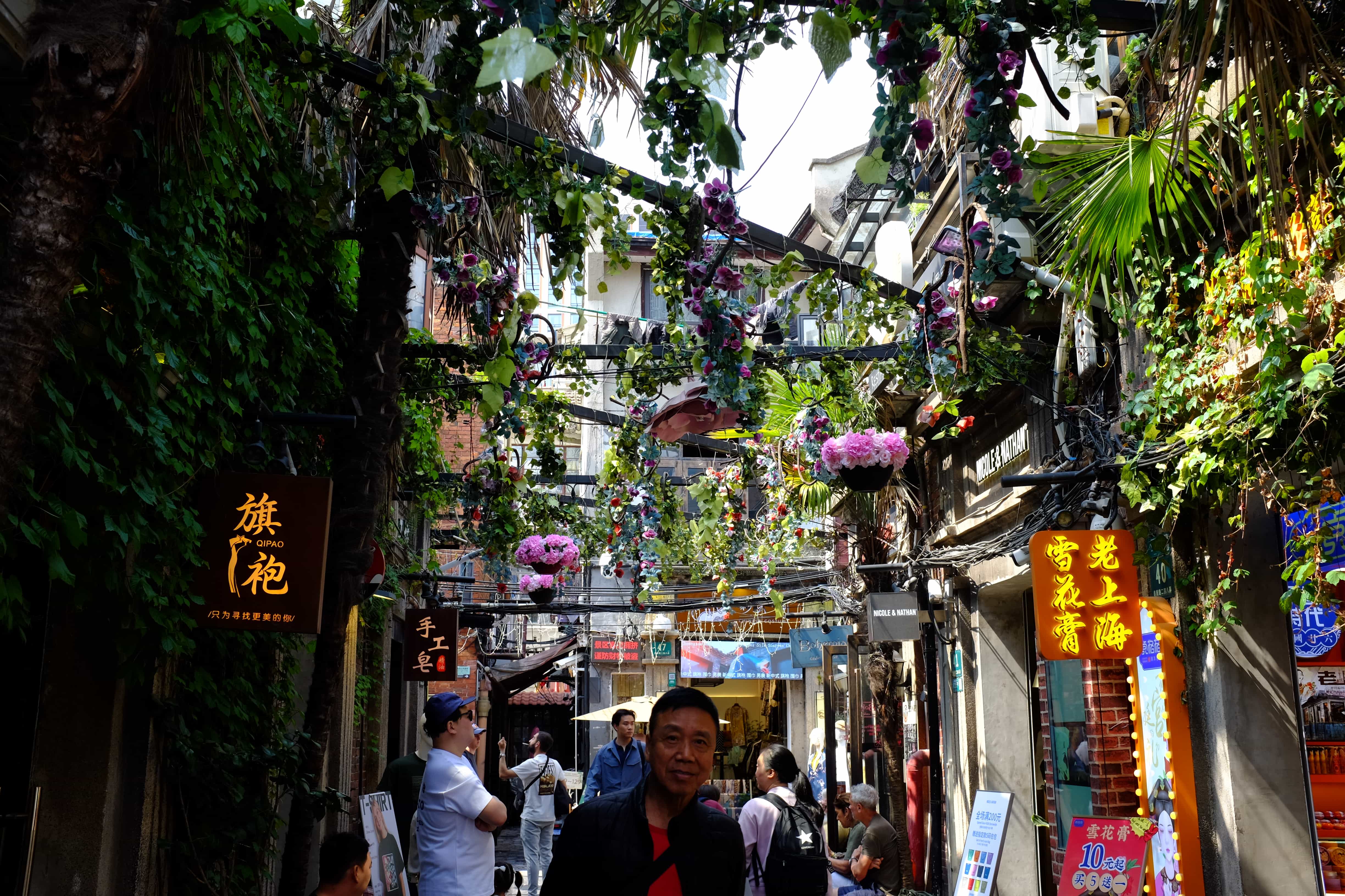 Hong Kong and China photo 6