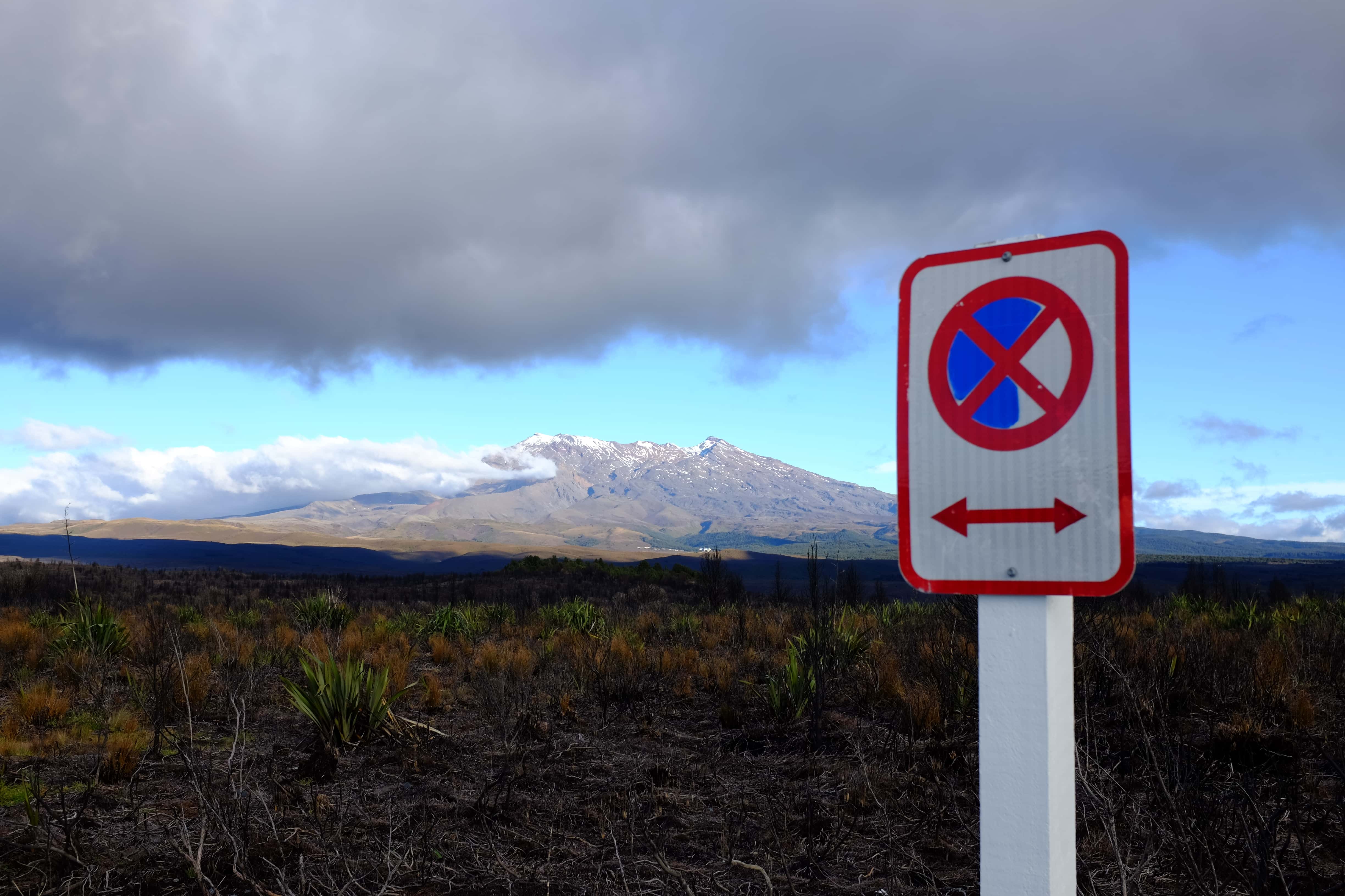New Zealand photo 8