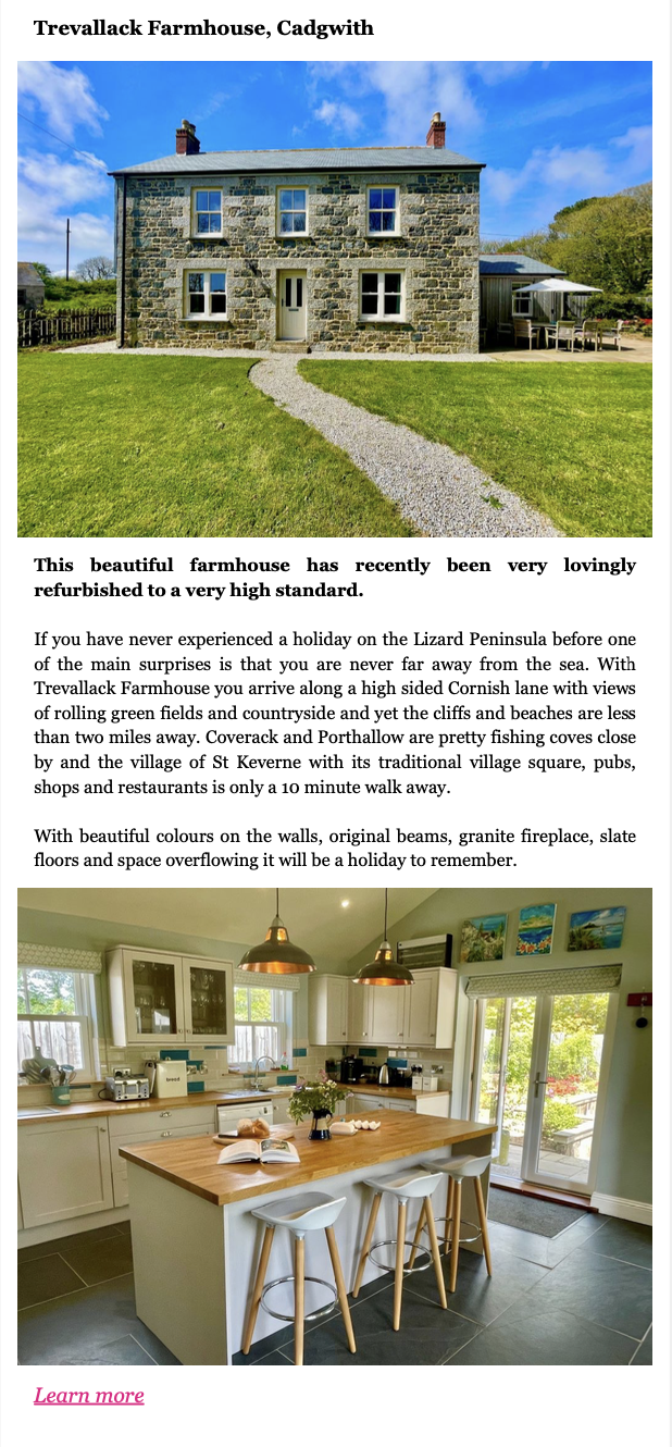 Client Newsletter Example 4
